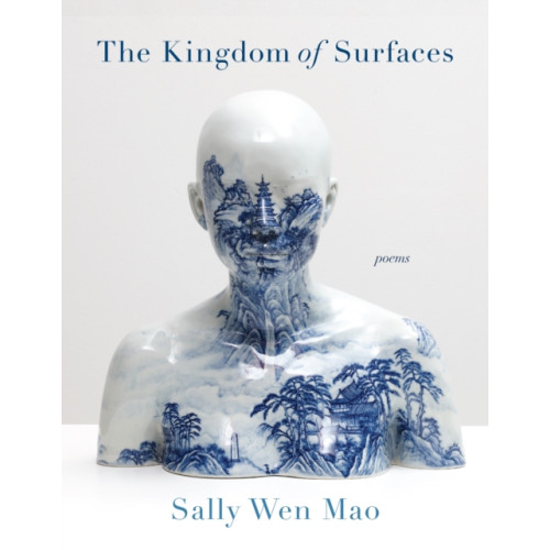 Graywolf Press The Kingdom of Surfaces (häftad, eng)