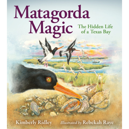 Texas A & M University Press Matagorda Magic (inbunden, eng)