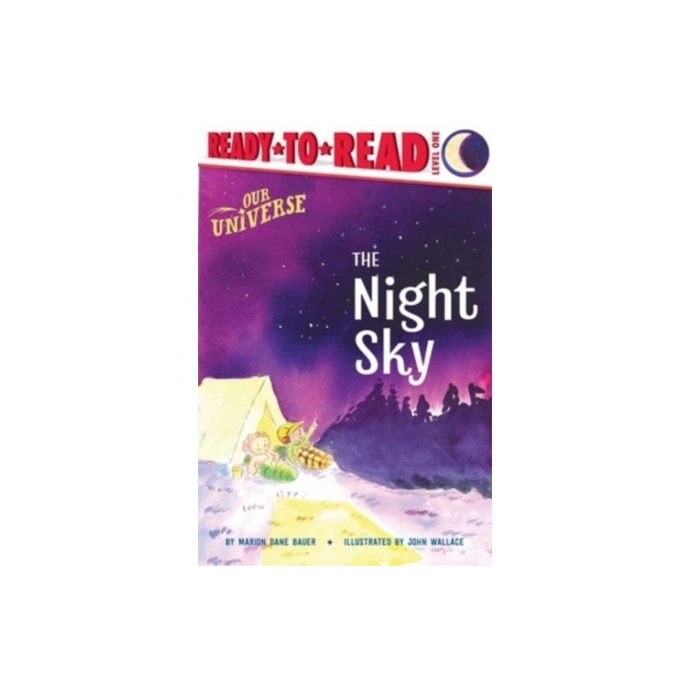 Produktbild för The Night Sky (häftad, eng)