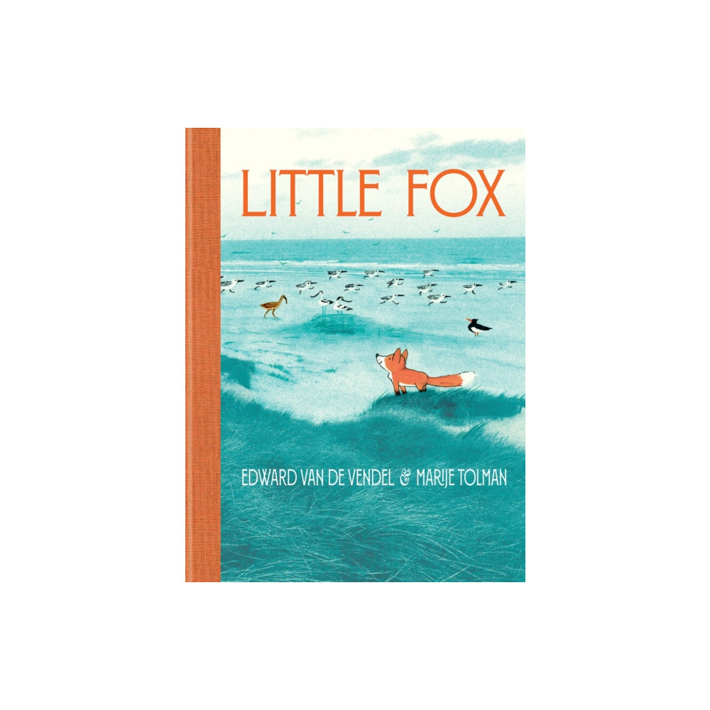 Produktbild för Little Fox (inbunden, eng)