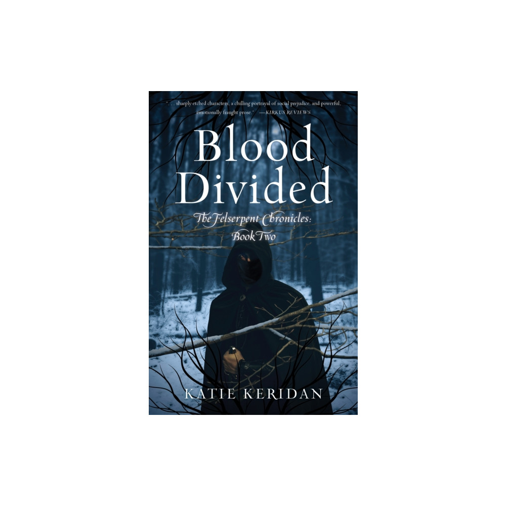 Produktbild för Blood Divided (häftad, eng)