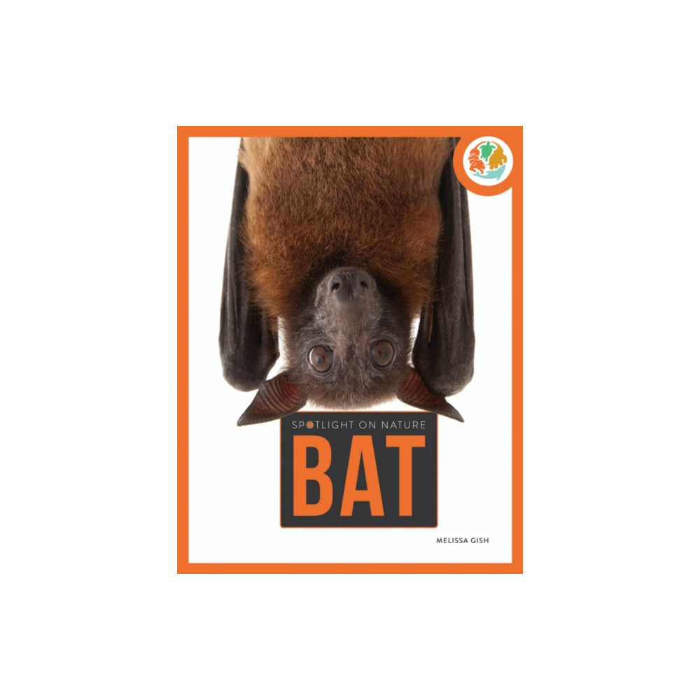 Produktbild för Spotlight on Nature: Bat (häftad, eng)