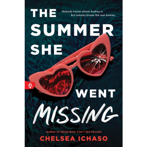 Sourcebooks, Inc The Summer She Went Missing (häftad, eng)