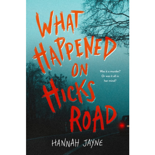 Sourcebooks, Inc What Happened on Hicks Road (häftad, eng)