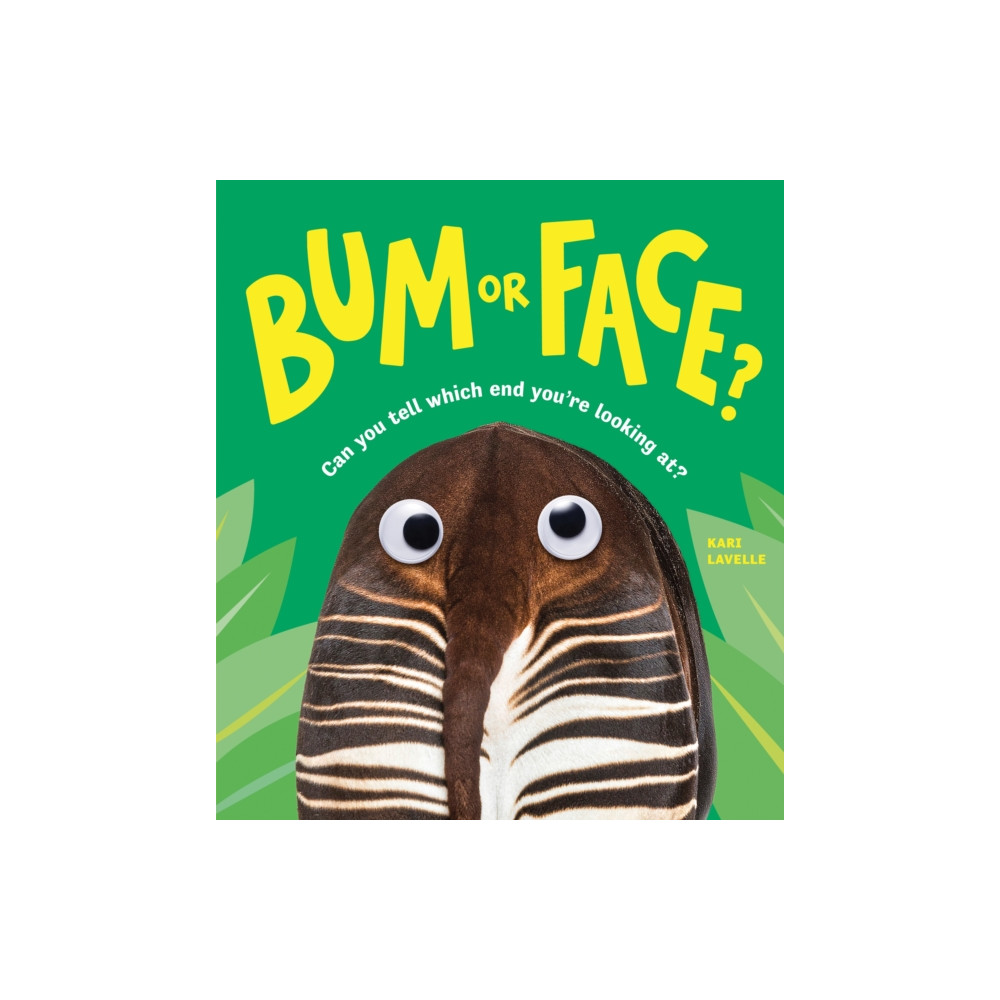 Produktbild för Bum or Face (häftad, eng)