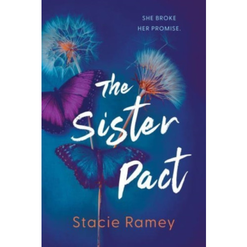 Sourcebooks, Inc The Sister Pact (häftad, eng)