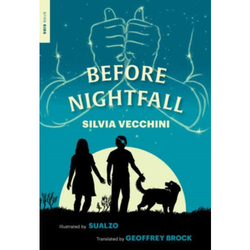 New York Review Books Before Nightfall (häftad, eng)