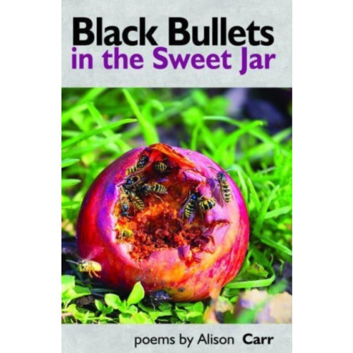 Smokestack Books Black Bullets in the Sweet Jar (häftad, eng)
