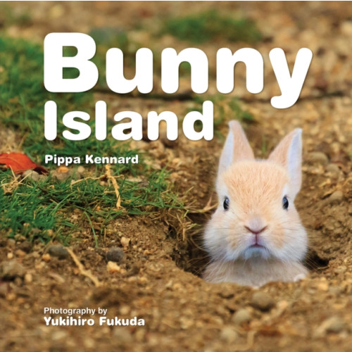 Firefly Books Ltd Bunny Island (häftad, eng)