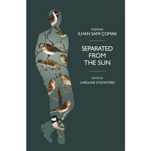 Smokestack Books Separated from the Sun (häftad, eng)