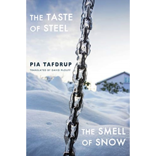 Bloodaxe Books Ltd The Taste of Steel * The Smell of Snow (häftad, eng)