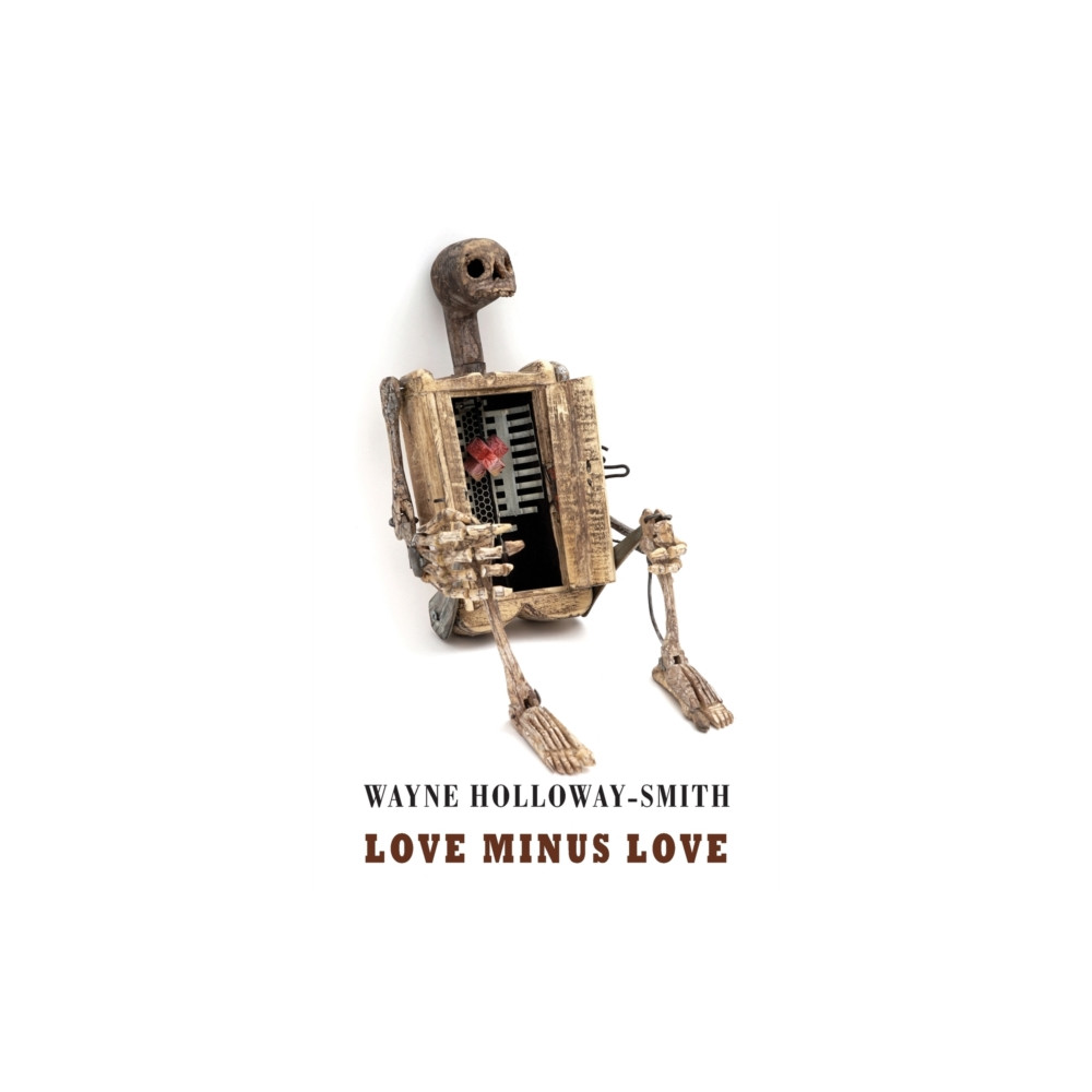 Produktbild för Love Minus Love (häftad, eng)
