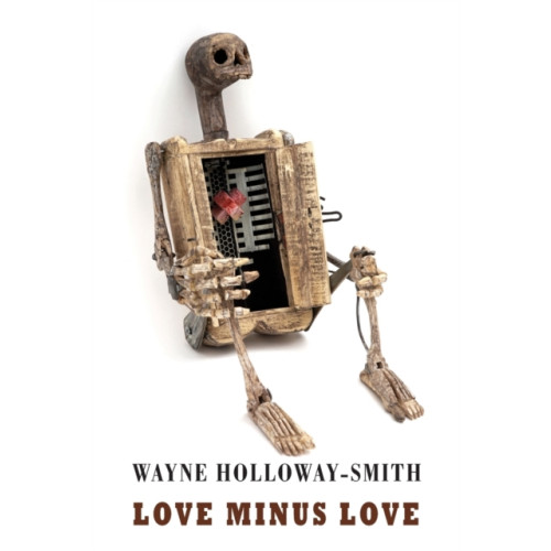 Bloodaxe Books Ltd Love Minus Love (häftad, eng)
