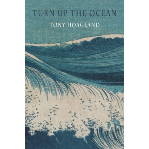 Bloodaxe Books Ltd Turn Up the Ocean (häftad, eng)