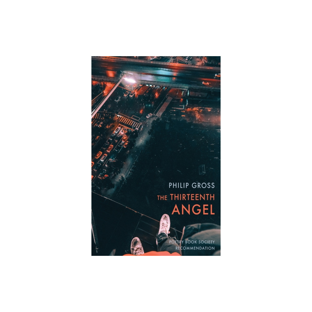 Produktbild för The Thirteenth Angel (häftad, eng)