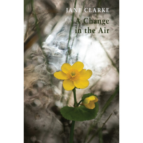 Bloodaxe Books Ltd A Change in the Air (häftad, eng)