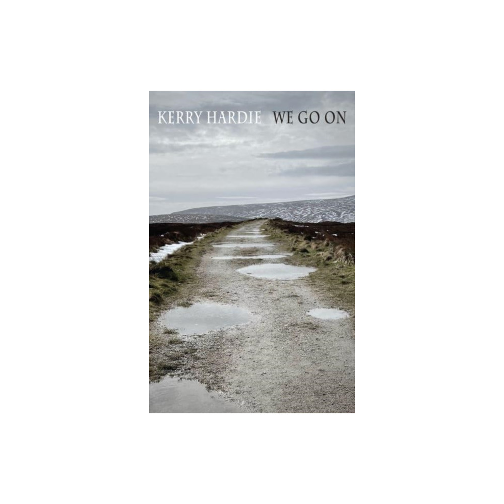 Produktbild för We Go On (häftad, eng)