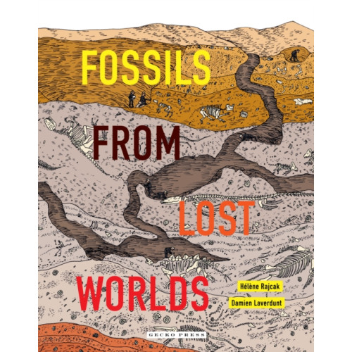 Gecko Press Fossils from Lost Worlds (inbunden, eng)