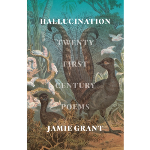 Hardie Grant Books Hallucination (häftad, eng)