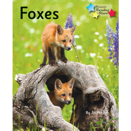 Ransom Publishing Foxes (häftad, eng)