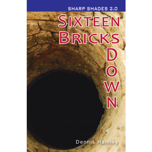 Ransom Publishing Sixteen Bricks Down  (Sharp Shades) (häftad, eng)