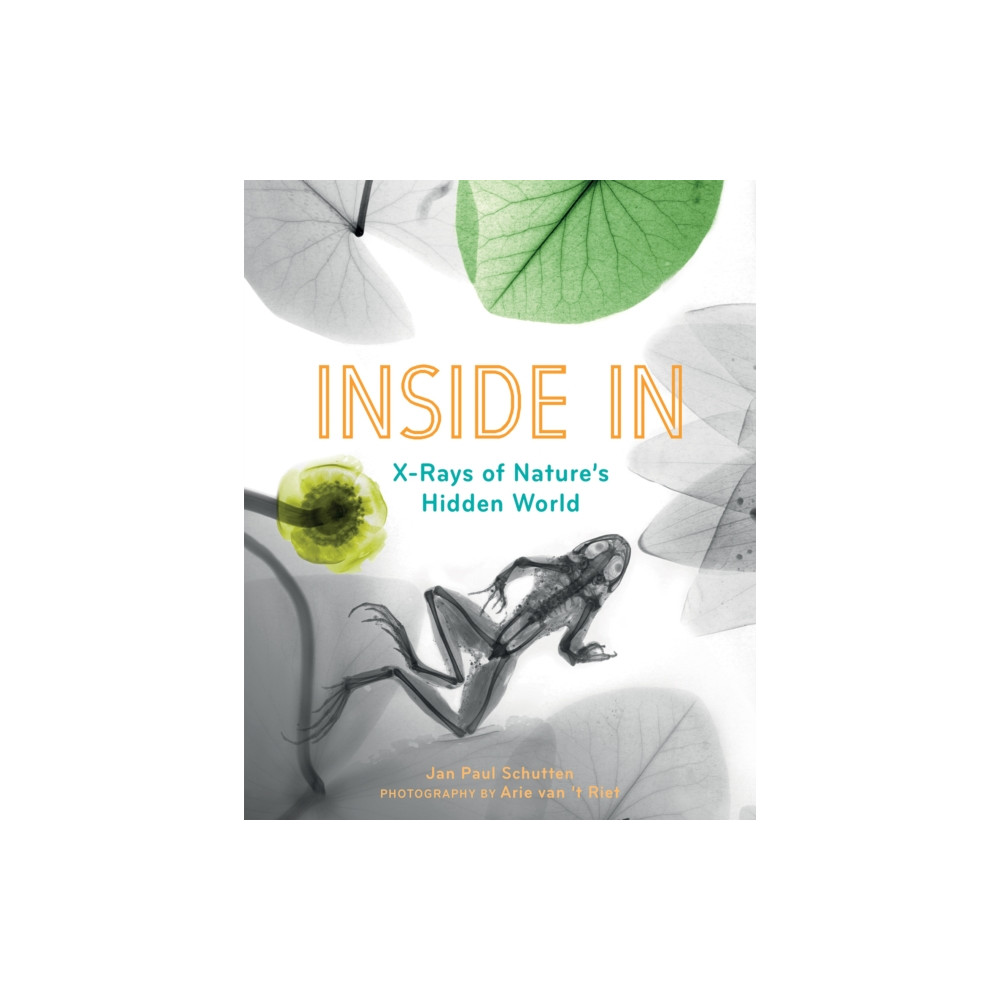 Produktbild för Inside In (häftad, eng)