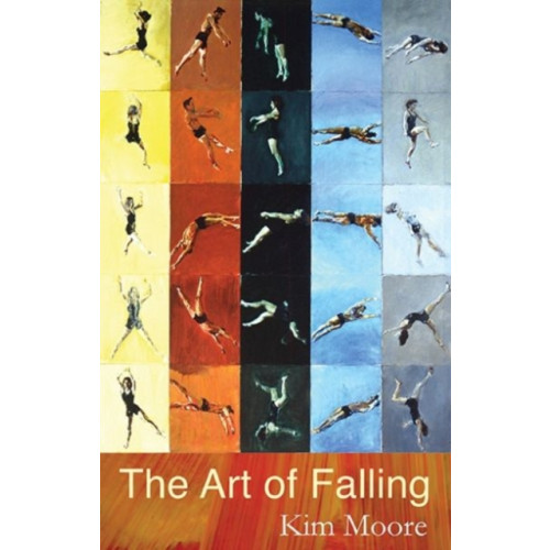 Poetry Wales Press The Art of Falling (häftad, eng)