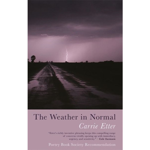 Poetry Wales Press The Weather in Normal (häftad, eng)