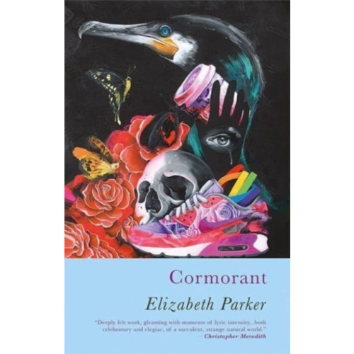 Poetry Wales Press Cormorant (häftad, eng)