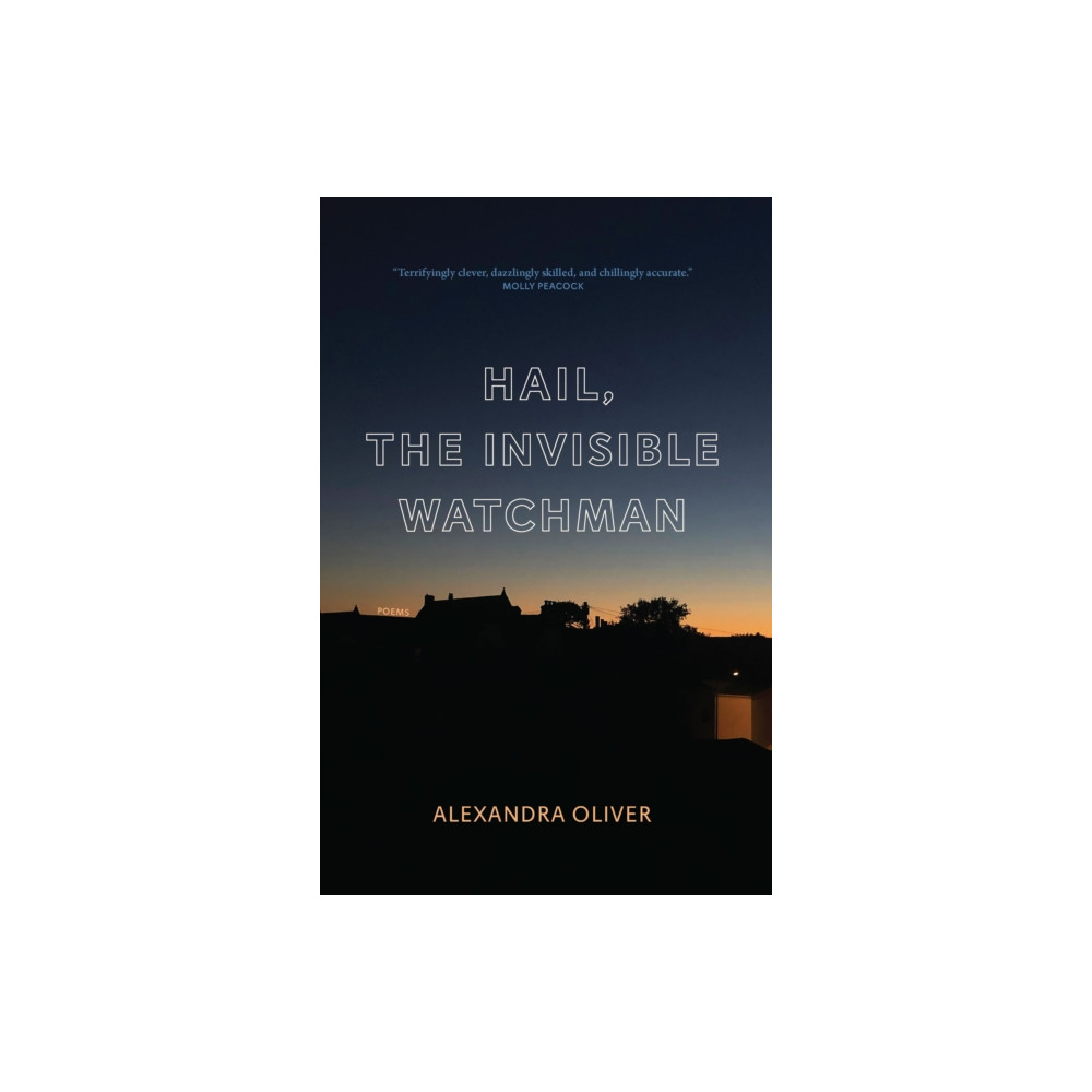 Produktbild för Hail, The Invisible Watchman (häftad, eng)