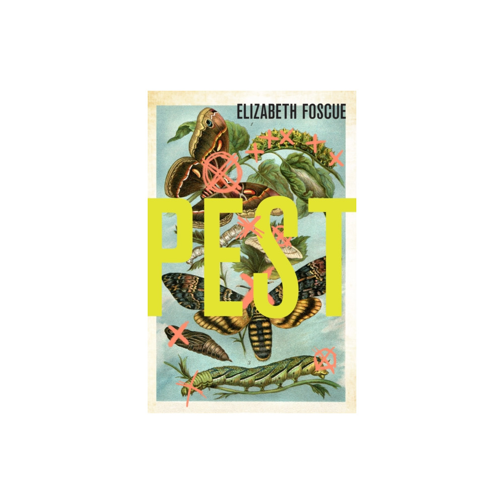 Produktbild för Pest (häftad, eng)