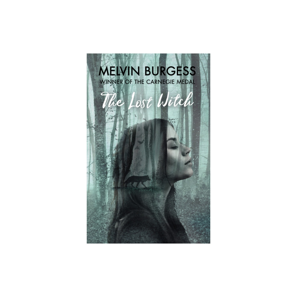 Produktbild för The Lost Witch (inbunden, eng)