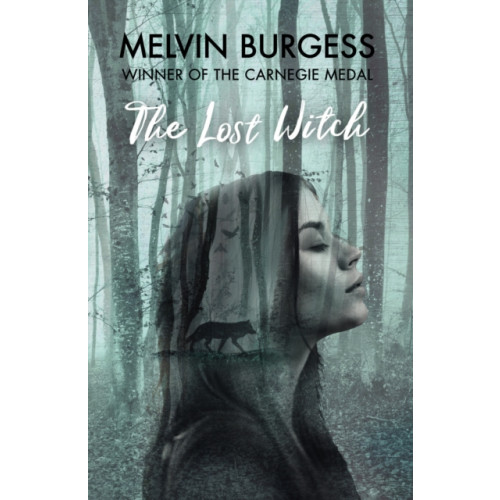 Andersen Press Ltd The Lost Witch (inbunden, eng)