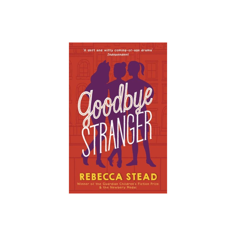 Produktbild för Goodbye Stranger (häftad, eng)