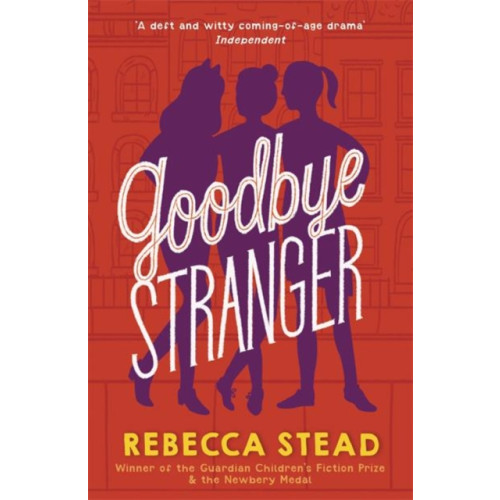Andersen Press Ltd Goodbye Stranger (häftad, eng)