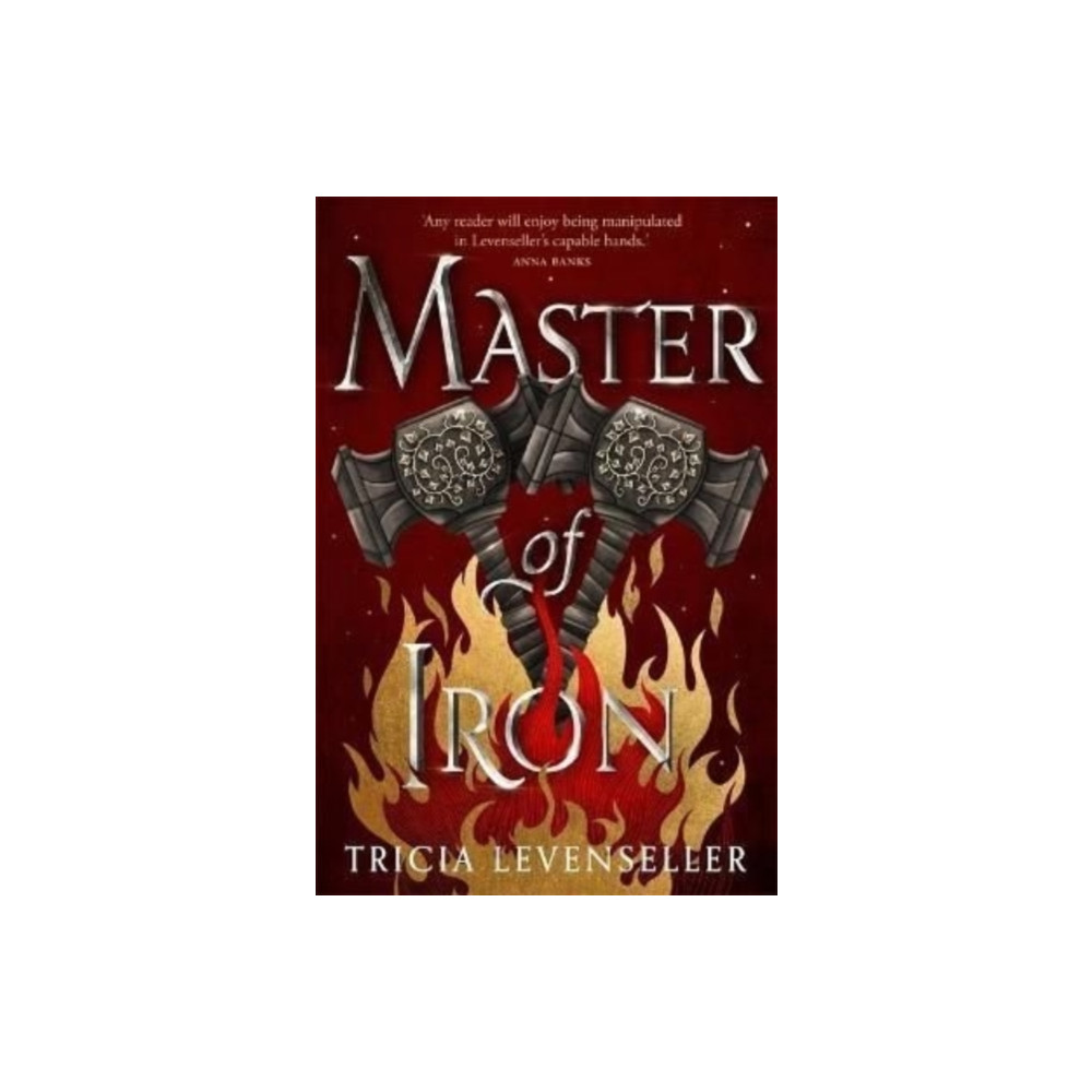 Produktbild för Master of Iron (häftad, eng)
