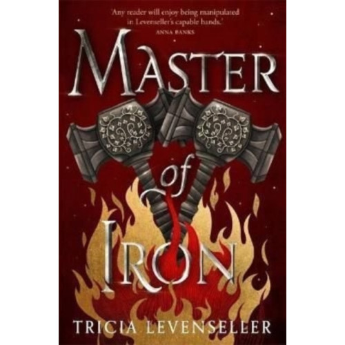 Pushkin Press Master of Iron (häftad, eng)