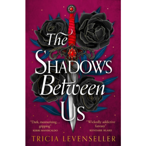 Pushkin Press The Shadows Between Us (häftad, eng)