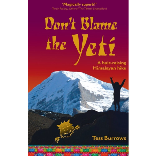 Eye Books Don't Blame the Yeti (häftad, eng)