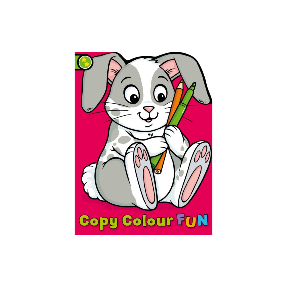 Produktbild för Copy Colour Fun: Rabbit (häftad, eng)