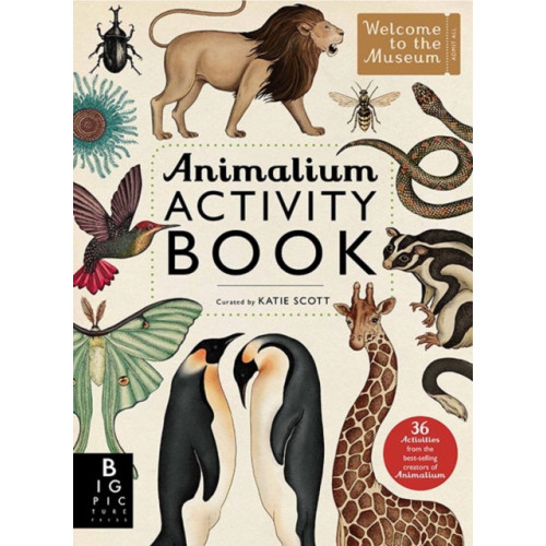 Templar Publishing Animalium Activity Book (häftad, eng)