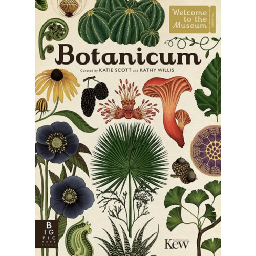 Templar Publishing Botanicum (inbunden, eng)