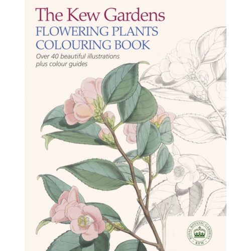 Arcturus publishing ltd The Kew Gardens Flowering Plants Colouring Book (häftad, eng)