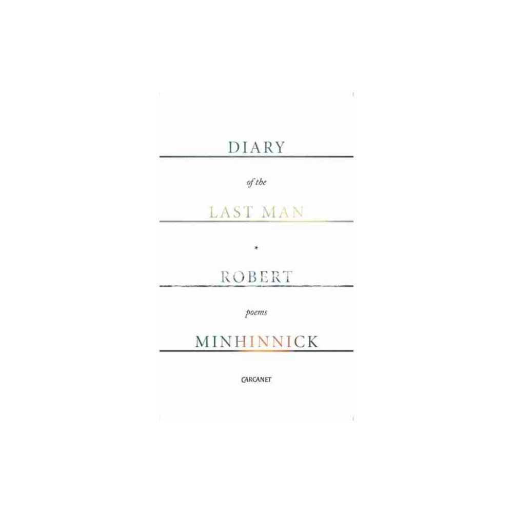 Produktbild för Diary of the Last Man (häftad, eng)