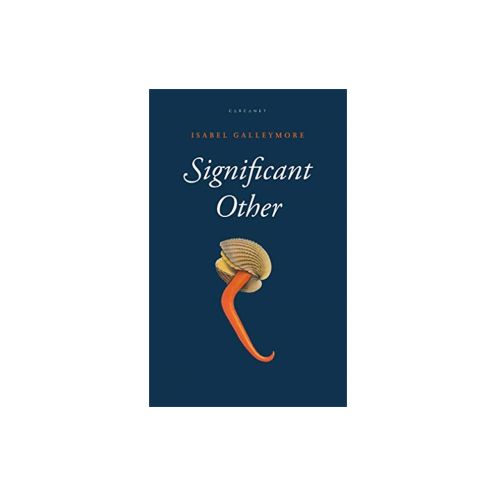 Produktbild för Significant Other (häftad, eng)