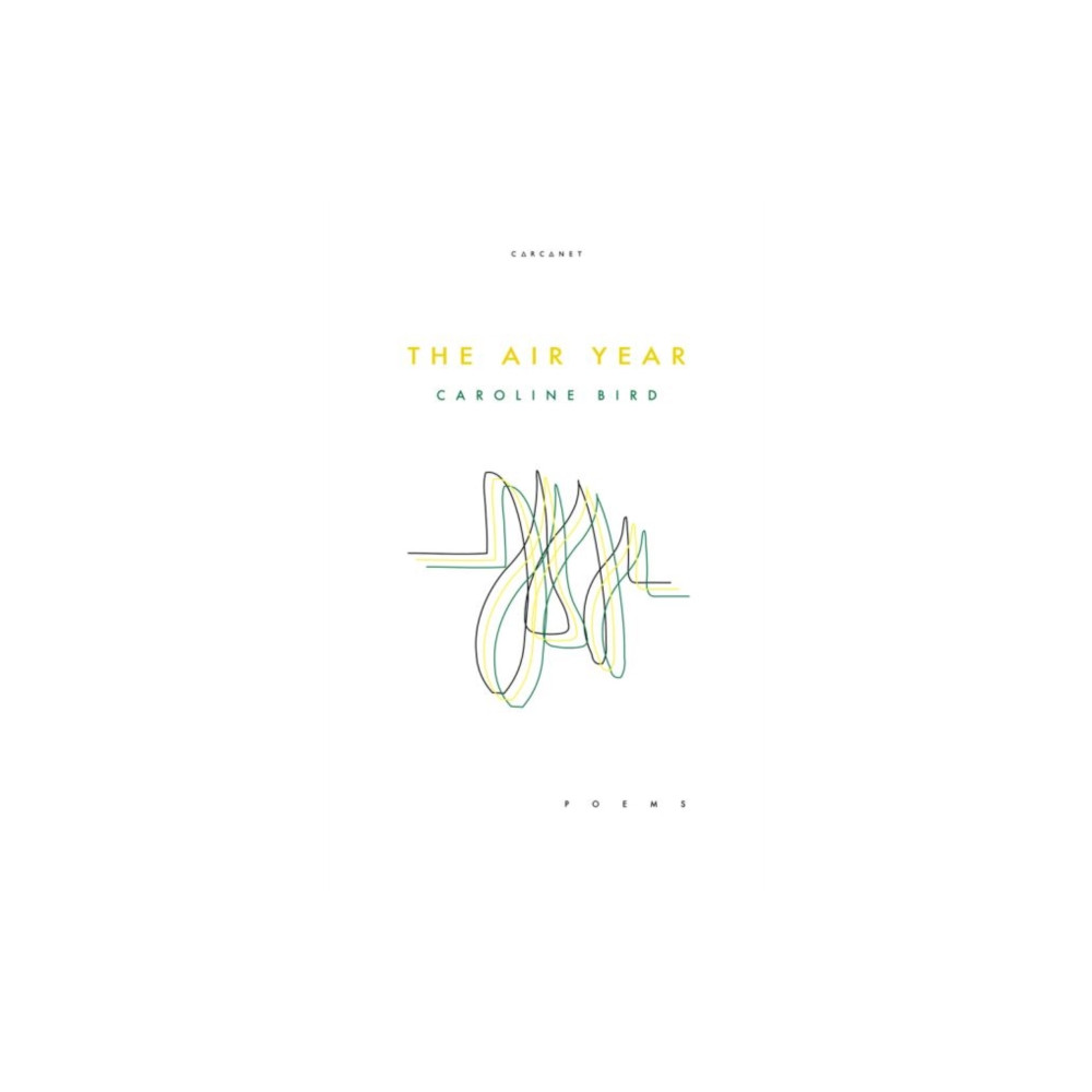 Produktbild för The Air Year (häftad, eng)