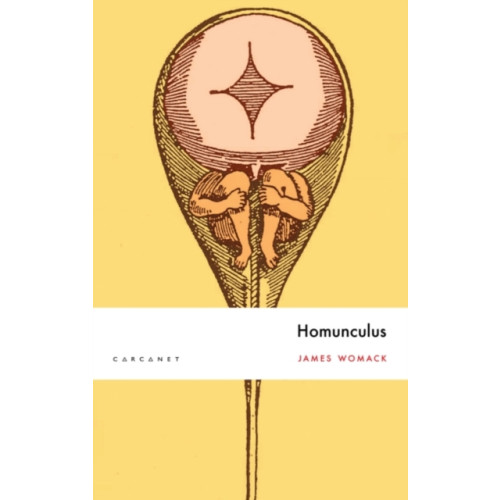 Carcanet Press Ltd Homunculus (häftad, eng)