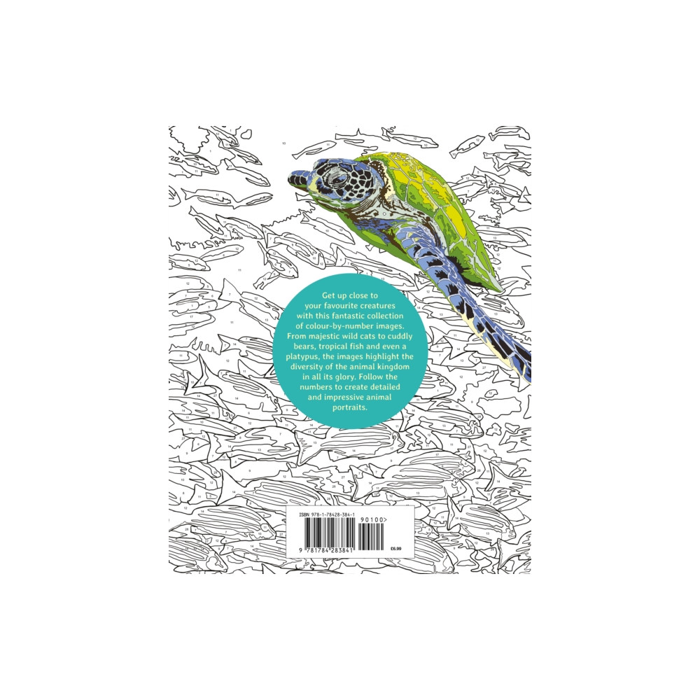 Produktbild för Animal Kingdom Colour by Numbers (häftad, eng)