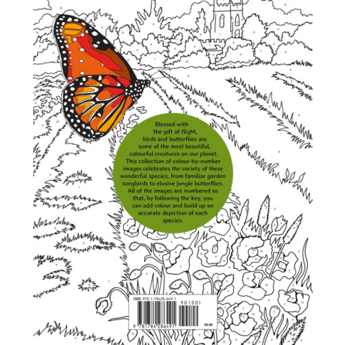 Arcturus publishing ltd Birds & Butterflies Colour by Numbers (häftad, eng)