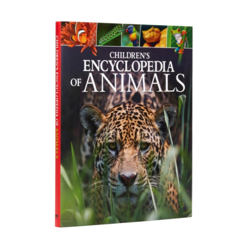 Arcturus publishing ltd Children's Encyclopedia of Animals (inbunden, eng)